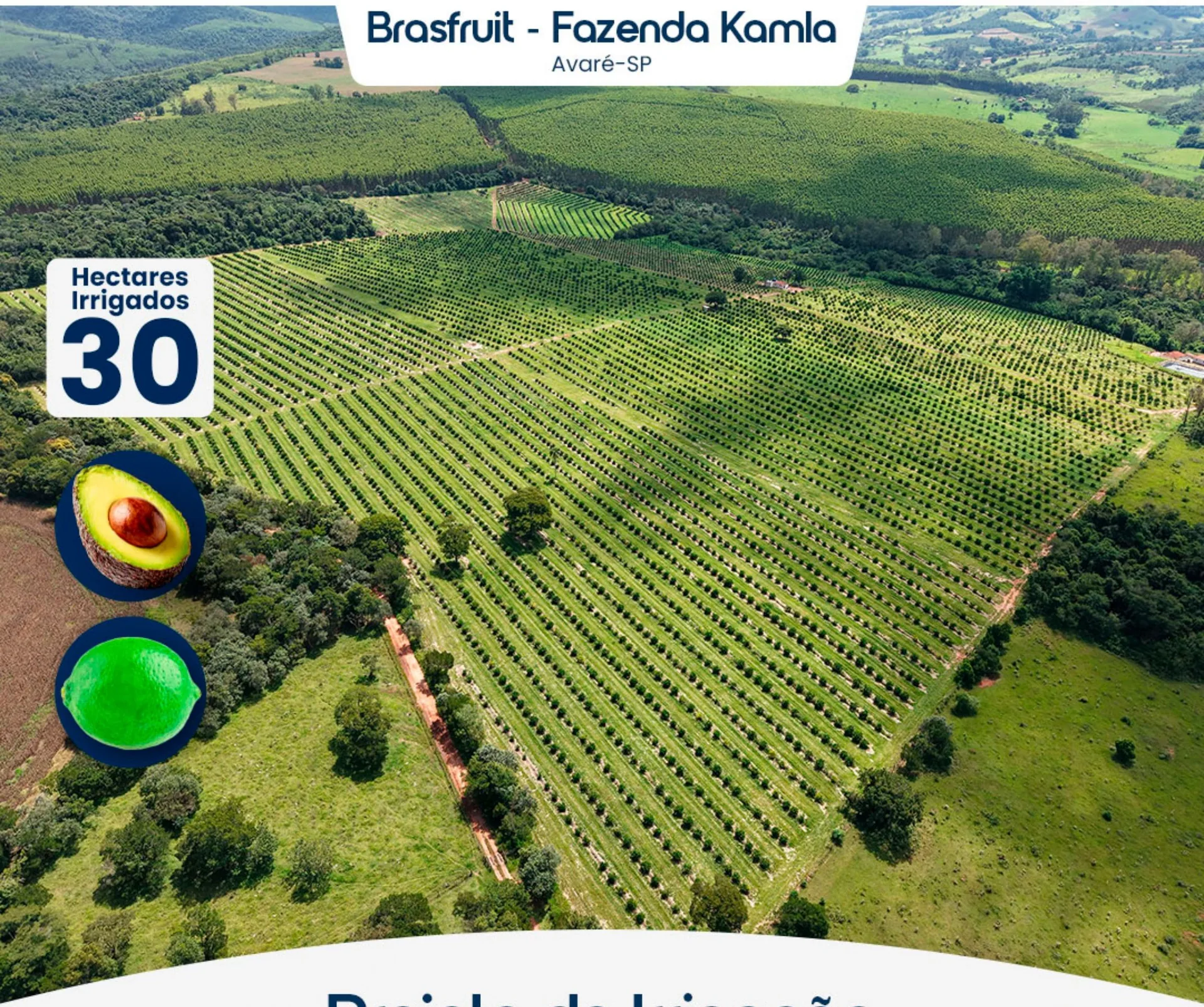 Brasfruit — Fazenda Kamla — Avaré-SP