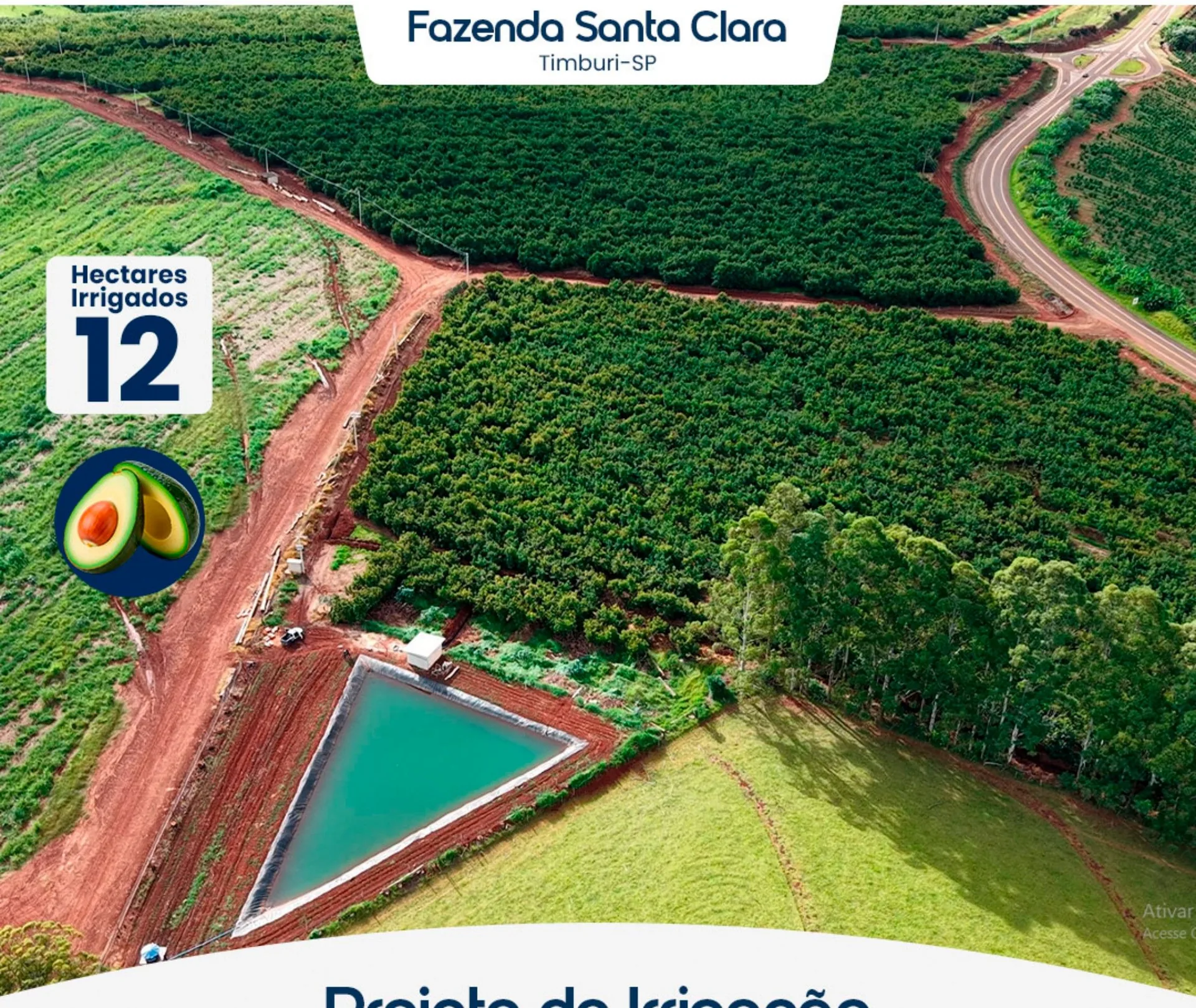 Fazenda Santa Clara — Timburi-SP