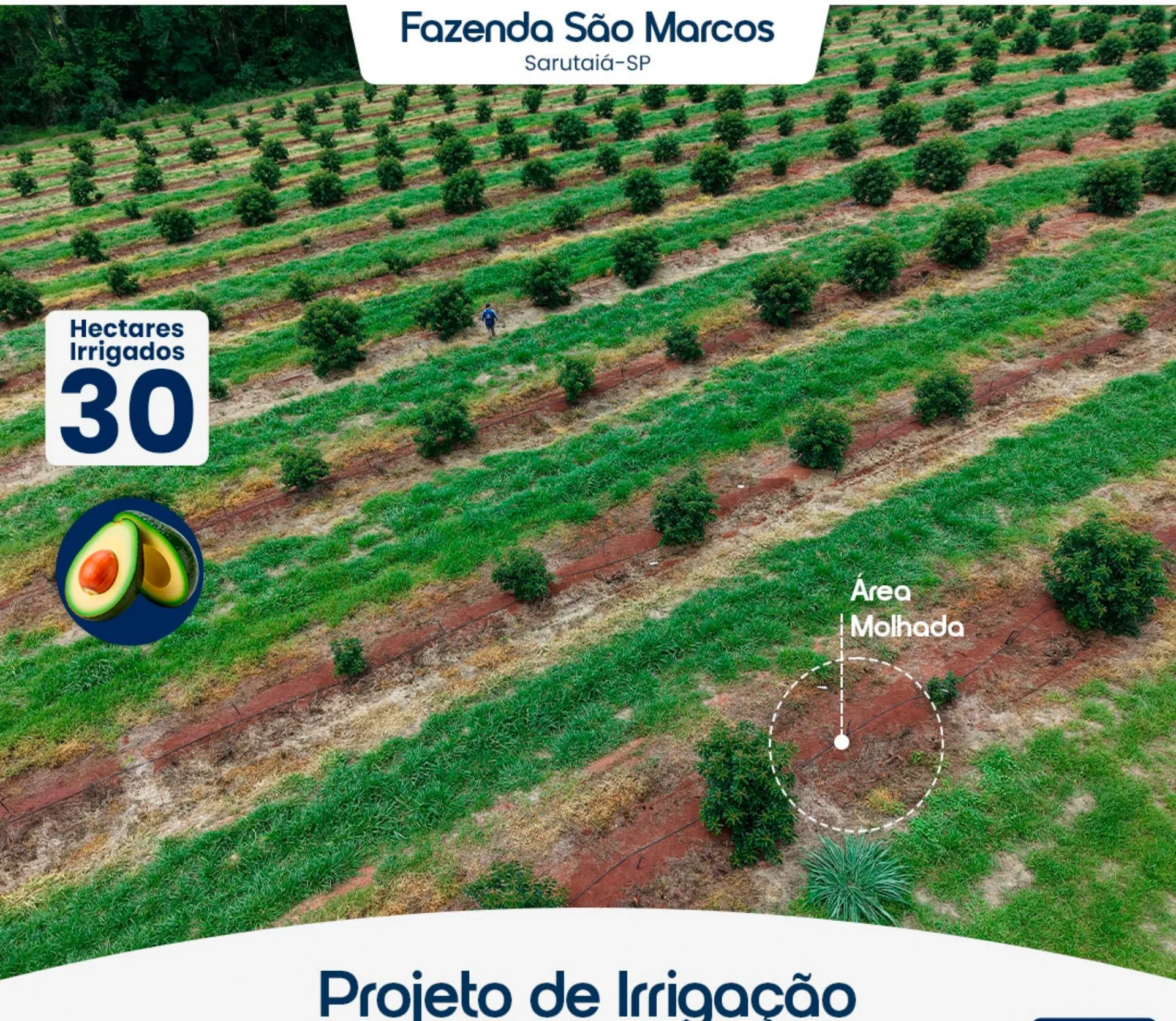 Fazenda São Marcos — Sarutaiá-SP