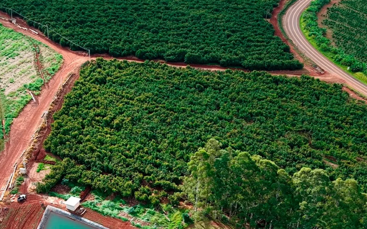 Área agrícola de Fazenda Santa Clara, em Timburi, SP