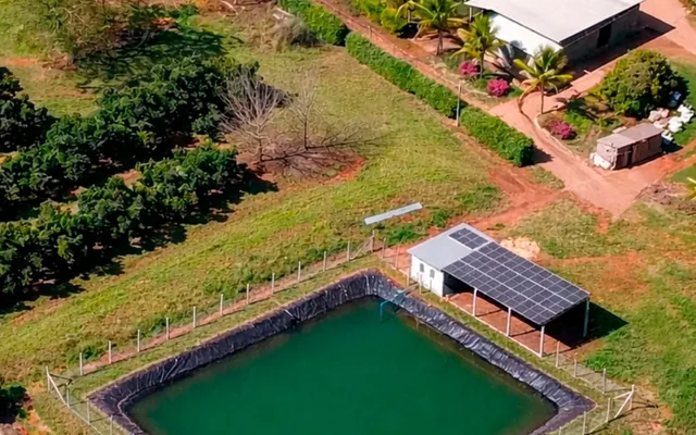 Vista aérea do pomar da Estância Duron, projeto de abacate em Piraju, SP