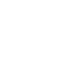 Schneider Motobombas