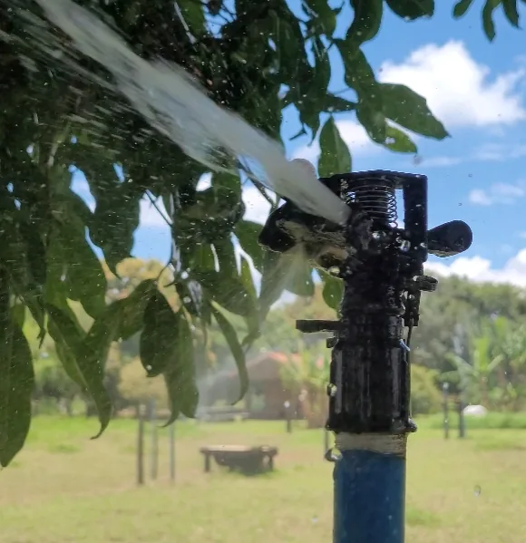 Sistema de irrigação por aspersão instalado pela Perin