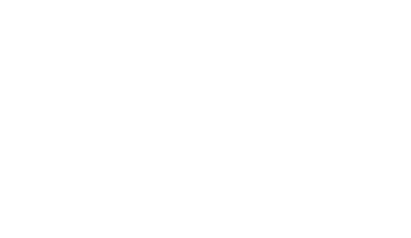 Parceiro Thebe